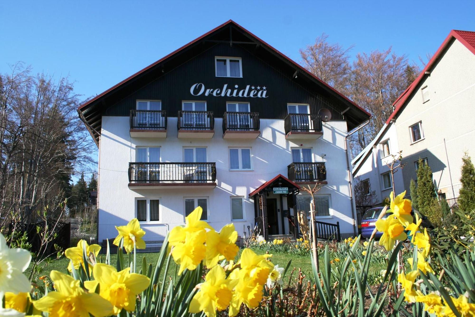 Bed and Breakfast Orchidea Sklářská Poruba Exteriér fotografie
